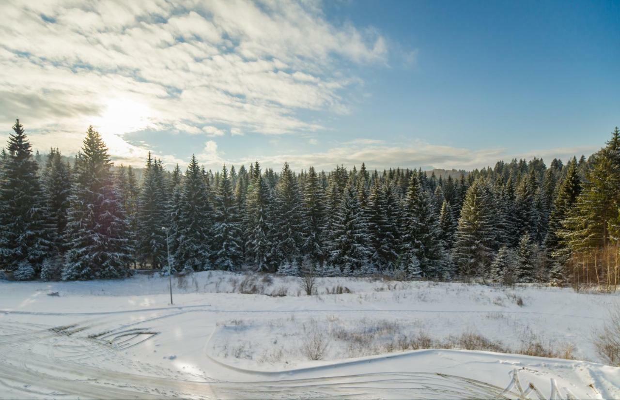 Timber View Apartment Silver Mountain Poiana Brașov Exterior foto